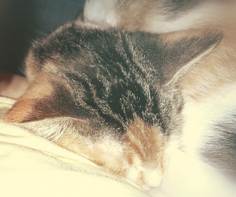 284401_10101760319841858_1457929573_n