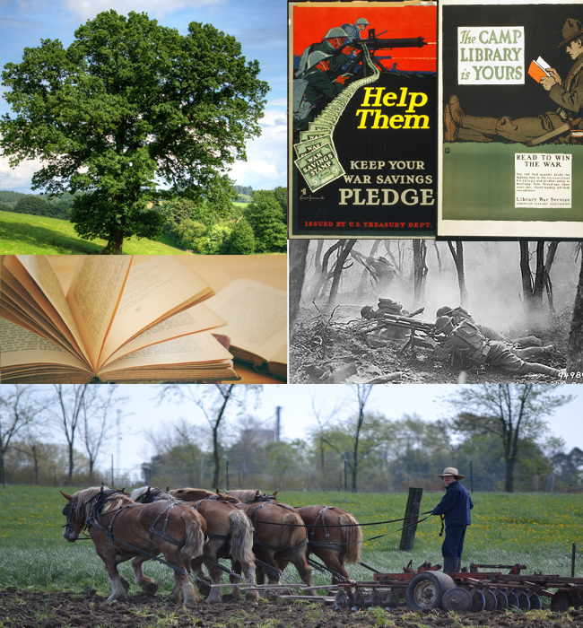 My historical fiction novels aesthetic board.